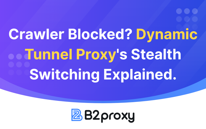 B2Proxy Image