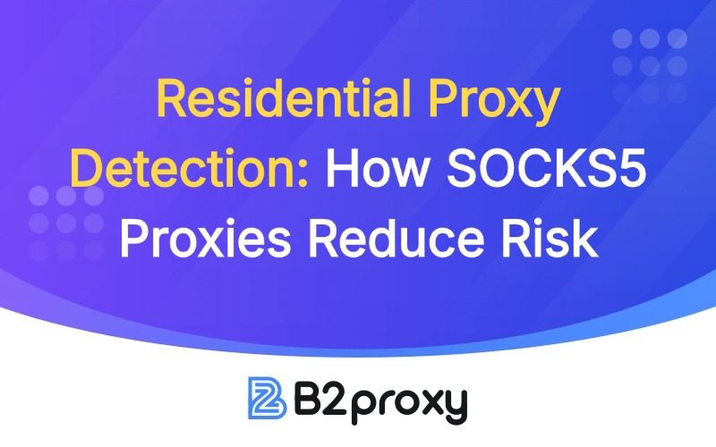 B2Proxy Image