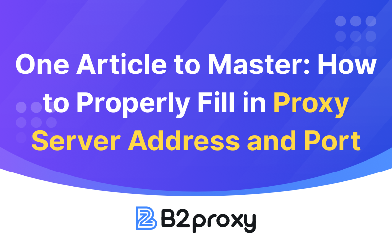 B2Proxy Image