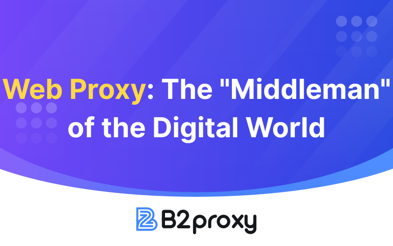 B2Proxy Image