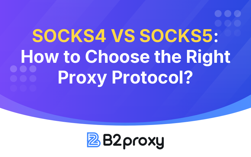 B2Proxy Image
