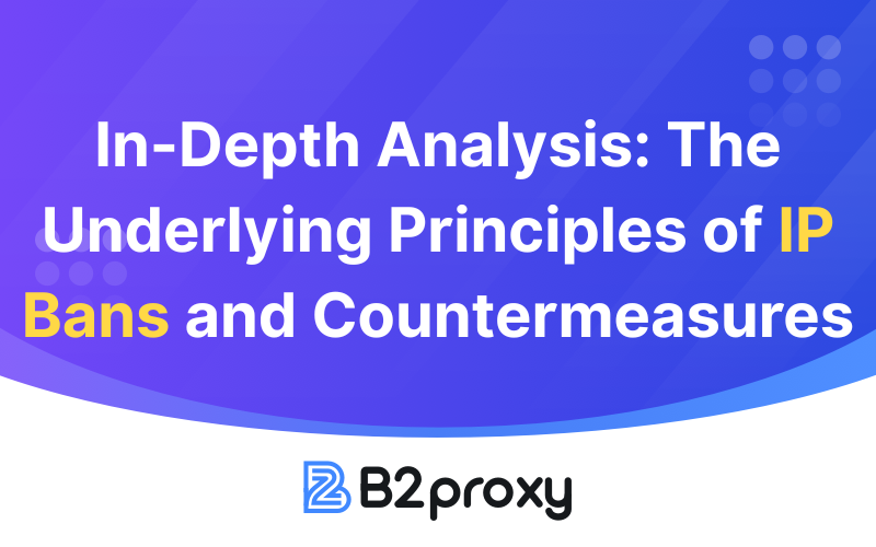 B2Proxy Image