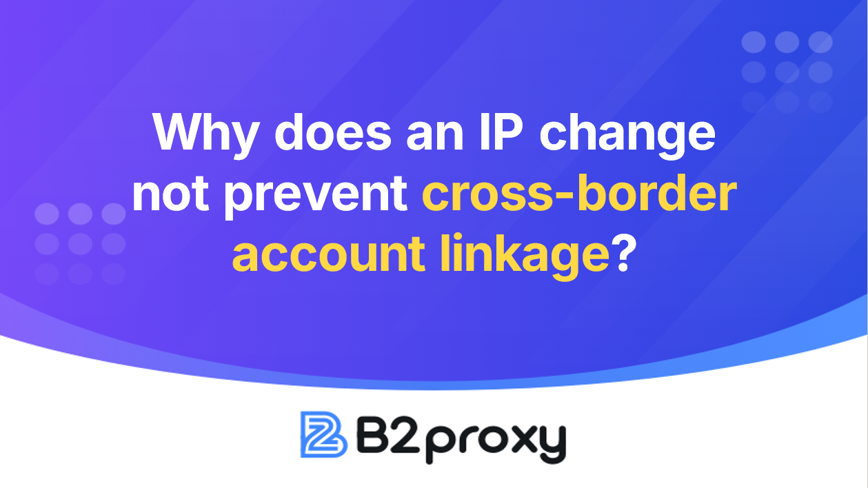B2Proxy Image