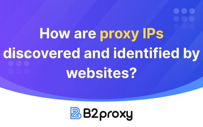 B2Proxy Image