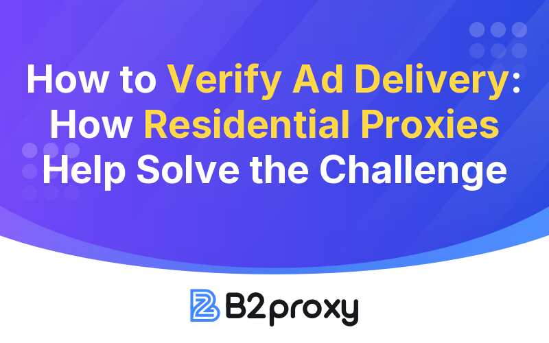 B2Proxy Image