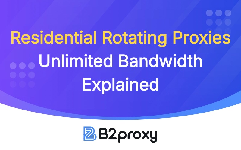 B2Proxy Image