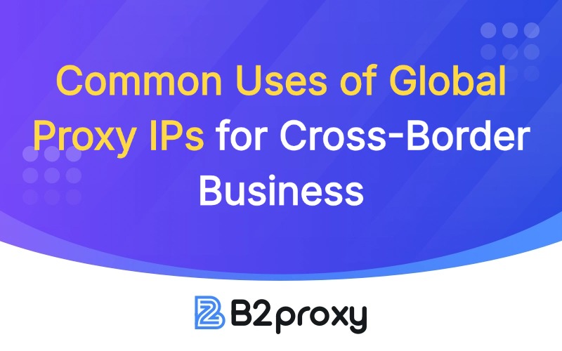 B2Proxy Image
