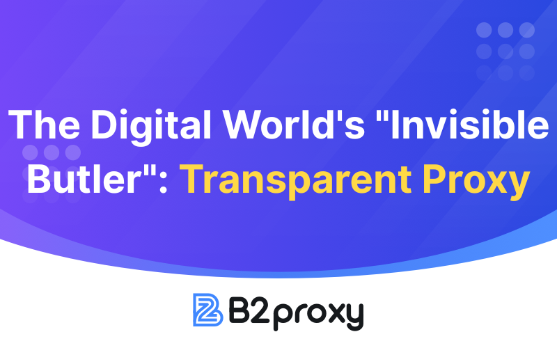 B2Proxy Image