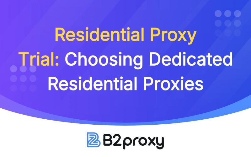B2Proxy Image