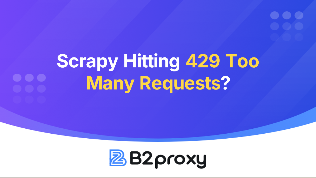 B2Proxy Image