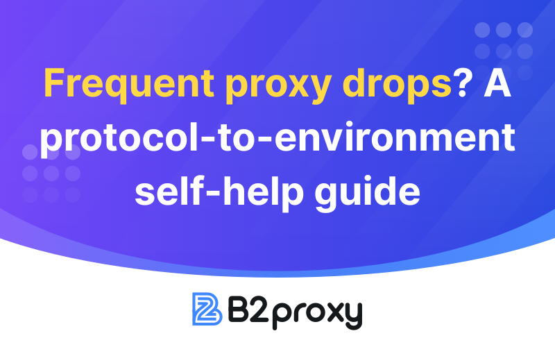 B2Proxy Image