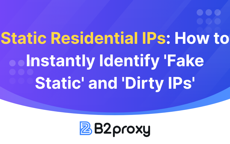 B2Proxy Image