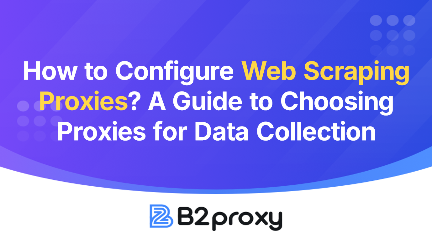 B2Proxy Image
