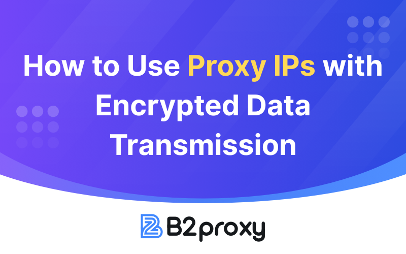 B2Proxy Image