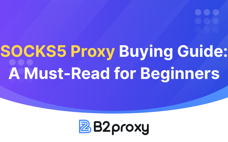 B2Proxy Image
