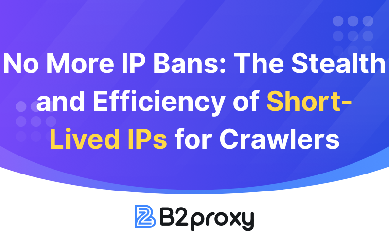 B2Proxy Image