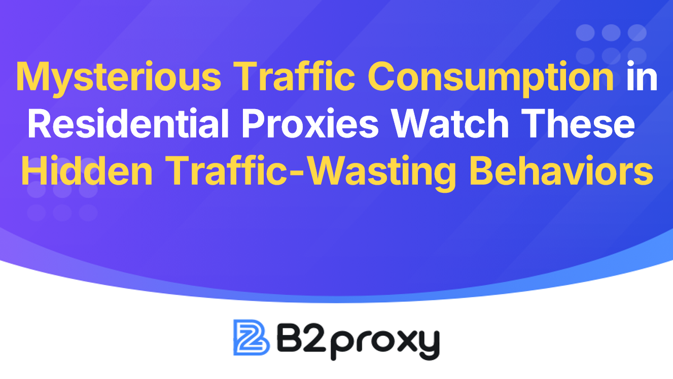 B2Proxy Image