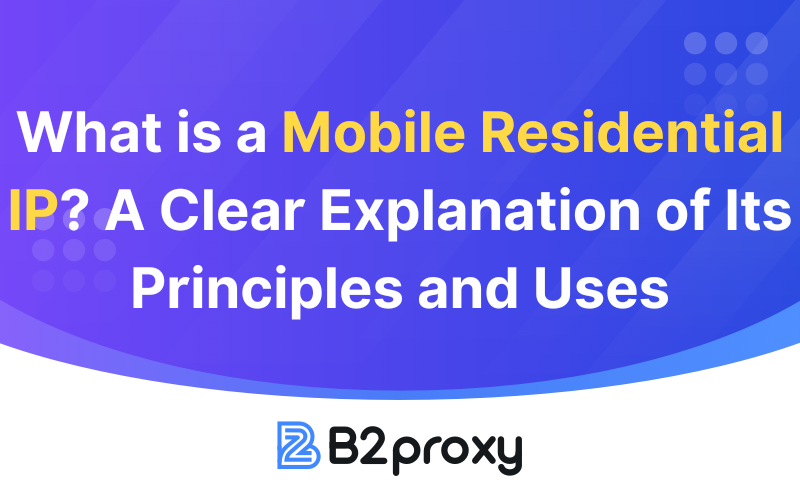 B2Proxy Image