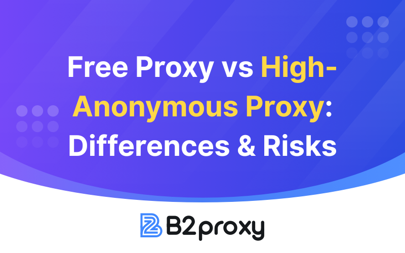 B2Proxy Image